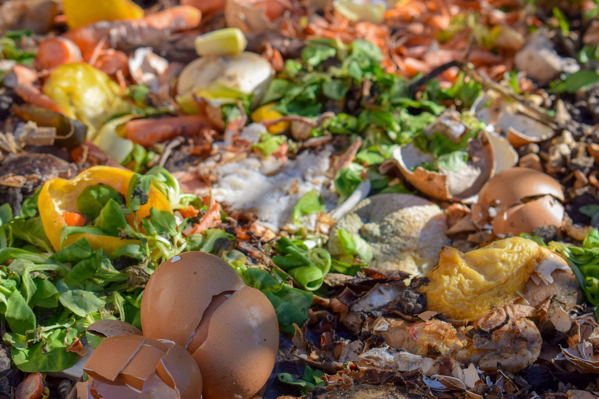 Urban Edge Compost Scraps Urban Edge Compost Scraps