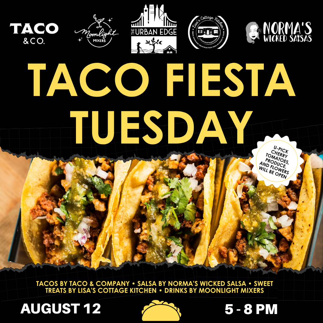 Taco Tuesday August 12 web version Taco Tuesday August 12 web version