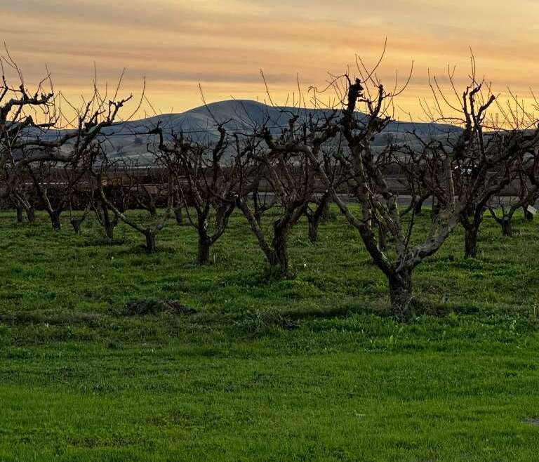 Welcoming January at The Urban Edge Farm